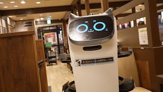 猫ちゃんが料理を運ぶバーミヤン　【ネコちゃんロボット】