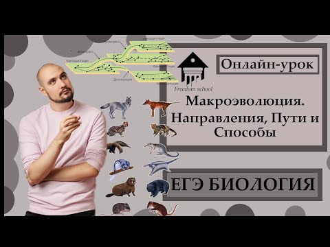 Макроэволюция. Направления, Пути, Процессы для ЕГЭ 2023 |ЕГЭ БИОЛОГИЯ|Freedom|