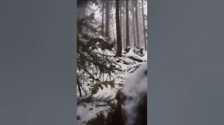 Real Proof That Yeti Actually Exist... 😱 (Explorer got Attacked by Yeti in the mountains!) #Shorts - DayDayNews