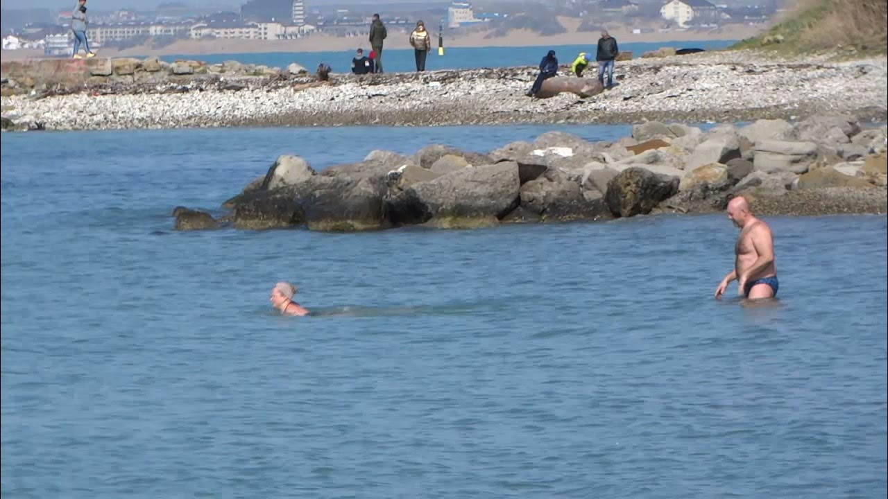 Купался в море я черном. Дельфины в Витязево. Купание на черном море. Купаемся в Анапе. Дельфины в Анапе на пляже.