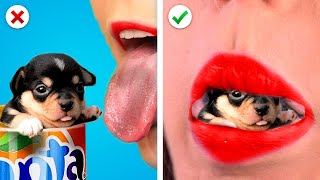 Ways to SNEAK PETS INTO THE MOVIES || Weird Ways to Sneak Food! Funny Pet Pranks by KABOOM!