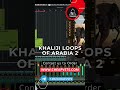 KHALIJI LOOPS OF ARABIA VOL 2