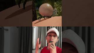 Digigit kutu kecil #shortvideo #facts #anines
