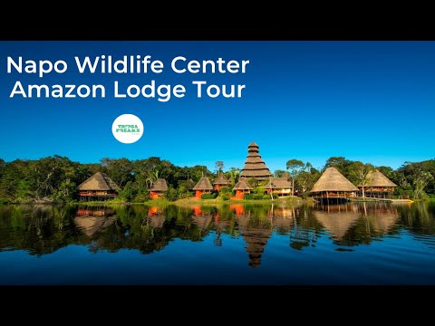 Napo Wildlife Center Amazon EcoLodge - Ecuador | Video Tour