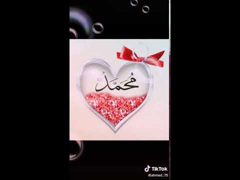 ربنا يا ربنا يا ربنا ياحي ياقيوم نور دربنا