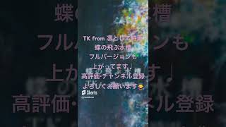 蝶　飛ぶ　水槽　TK 凛として時雨　pet オープニング　人気　流行　急上昇　カバー　歌ってみた