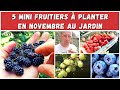 5 MINI FRUITIERS à planter en automne au jardin (+ 1 extra !)