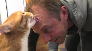 Cats Welcome Home Their Owner by Cole and Marmalade 94,059 views 2 years ago 2 minutes, 22 seconds