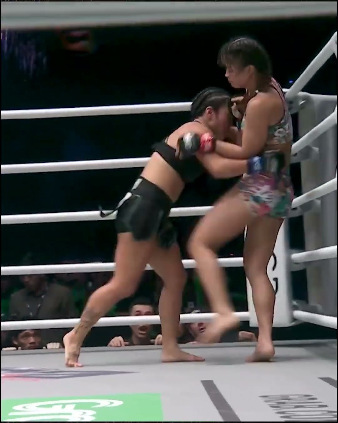 To the LIMIT ? Flash? to the atomweight MMA banger between Stamp and Bi Nguyen ?