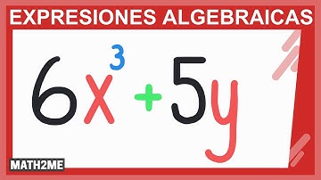 Expresiones algebraicas | Conceptos de coeficientes, constantes y variables