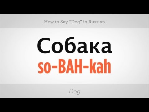 How to Say \