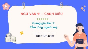 Giảng bài 3: Tấm lòng người mẹ | Bài giảng ngữ văn 11 cánh diều