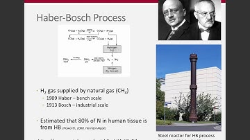 Week 4 - Nitrogen Sources (ENR 5270)