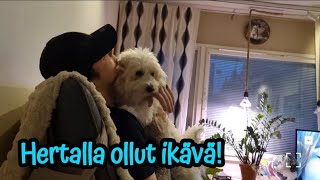 Download Lagu Kallen ja äitin laatuaikaa🤭 Hertalla ollut ikävä! #arkivlog #dailyvlog #cotondetulear  MP3
