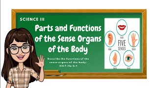 Science 3: Parts and Functions of the Sense Organs of the Body