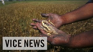 VICE News Daily: Indian Farmers Commit Suicide Due to Ruined Crops screenshot 3