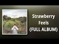 Subsonic Eye // Strawberry Feels (FULL ALBUM)