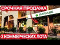 Коммерция в центре Сочи