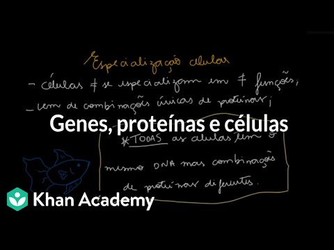 Vídeo: Como as proteínas determinam as características?