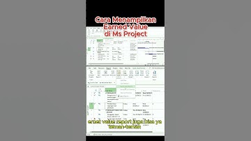 Cara Menampilkan Earned Value di Ms Project