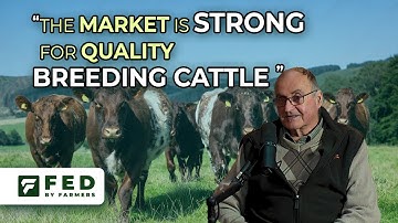 Derek Steen - Coxhill Beef Shorthorns and building a big farming business from scratch