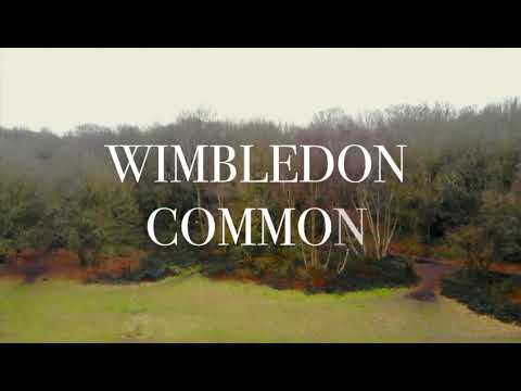 Welcome to Wimbledon Common
