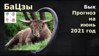 БЫК прогноз на июнь 2021 от Анны Зайцевой