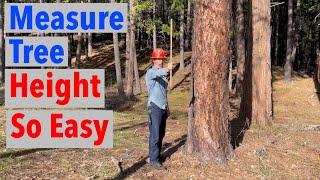 How to Measure the Height of a Tree  Simple