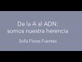 DE LA &quot;A&quot; AL &quot;ADN&quot; : SOMOS NUESTRA  HERENCIA