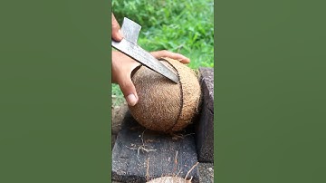Technique for scooping dry coconut