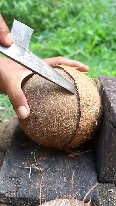 Technique for scooping dry coconut