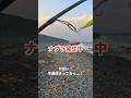 釣り場に着いたらすでにナブラが立っていて... #shorts #surffishing #サーフフィッシング #青物