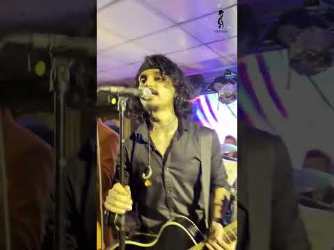 Alice | Gypsies Live in Action | Dance with the Gypsies
