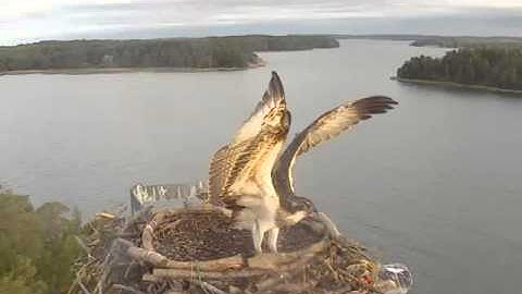 vlc record 2013 08 30 08h37m42s mms   193 166 137 214 8080 seili asf