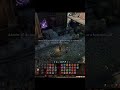Shadowheart and Lae'zel still have their differences #shorts #baldursgate3
