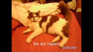 The Jack Trippers-Better Life