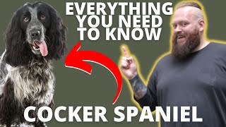 3 FASCINATING FACTS ABOUT THE COCKER SPANIEL