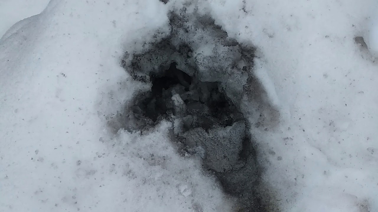 Почему дымит ока