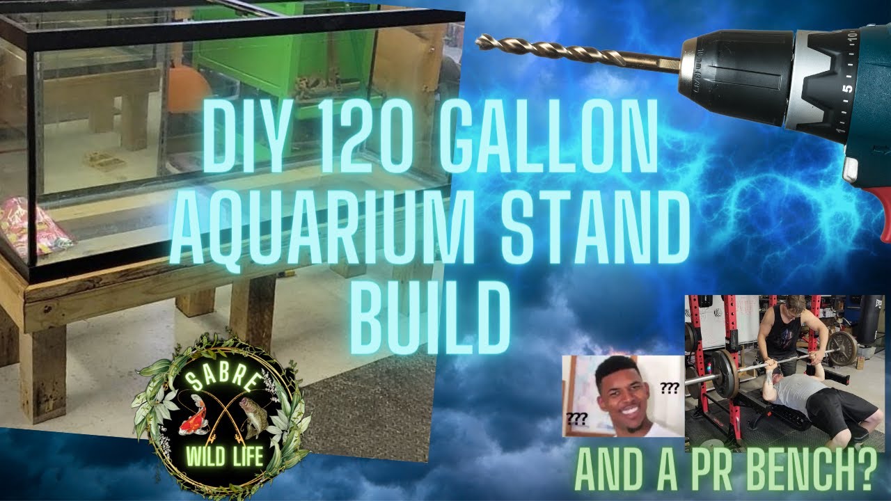 Building a DIY 120 gallon aquarium stand and hitting over 225 on Bench