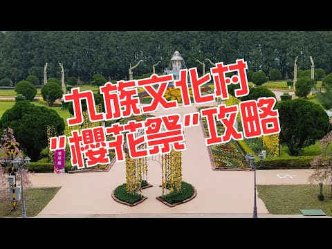 九族文化村(櫻花祭)新攻略-跟著阿桃阿嬤去七淘(旅遊篇)∣旅遊∣美食∣生活∣#阿萍阿裕玩樂誌#南投旅遊 #南投景點# 九族文化村