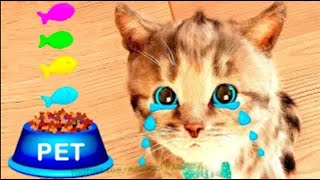 Play with Little Kittens Preschool Adventure - Cartoon Animation for Kids Preschool Learning