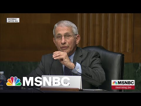 Rand Paul, Fauci