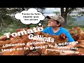 TE MUESTRO MIS EMPRENDIMIENTOS - Gallinas Felices - Lechugas - Tomates - emprendimientos del borrego