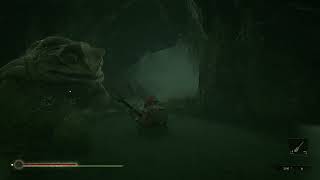 Mortal Shell. Big frog and music.