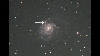 M101(Pinwheel Galaxy) Supernova Discovery - May 2023 News