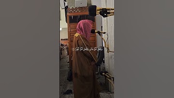 سورة نوح | د. أحمد الغامدي | مسجد قباء