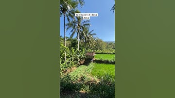 Kehidupan di desa dan lantunan gending Jawa #viral #fyp #indonesia #jawa