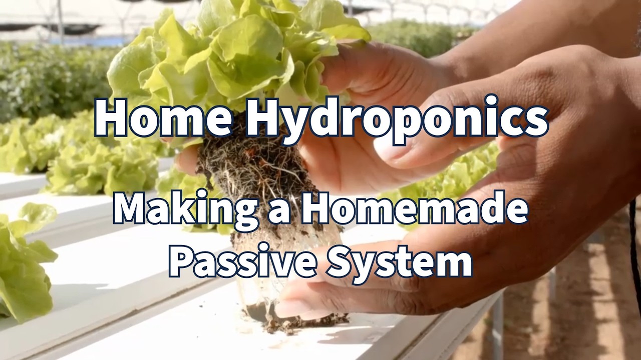 Home Hydroponics   Making A Passive System #garden #hydroponics #greenthumb