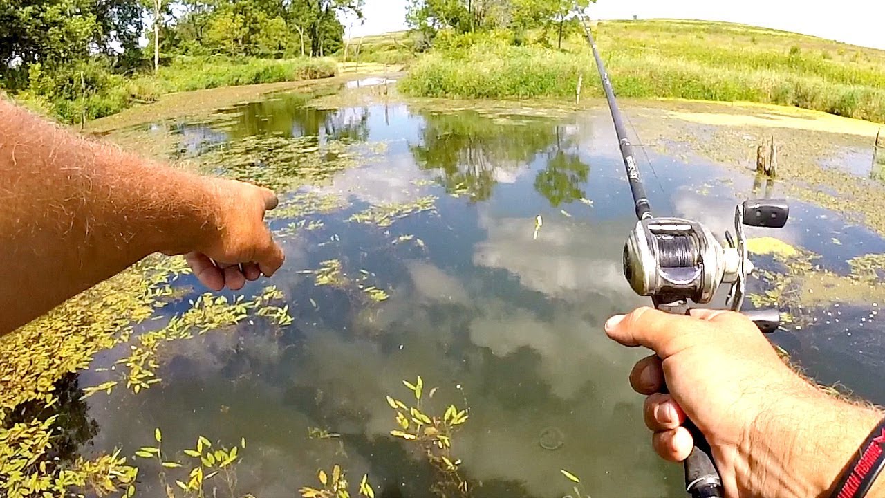 BASS FISHING New Lakes w/ INCREDIBLE Potential!!