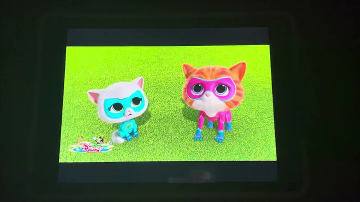 Superkitties bitsy bellyache